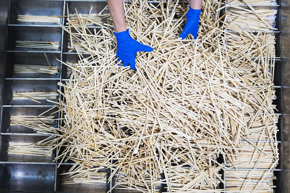 ChopValue — Circular Economy Magazine Issue 02