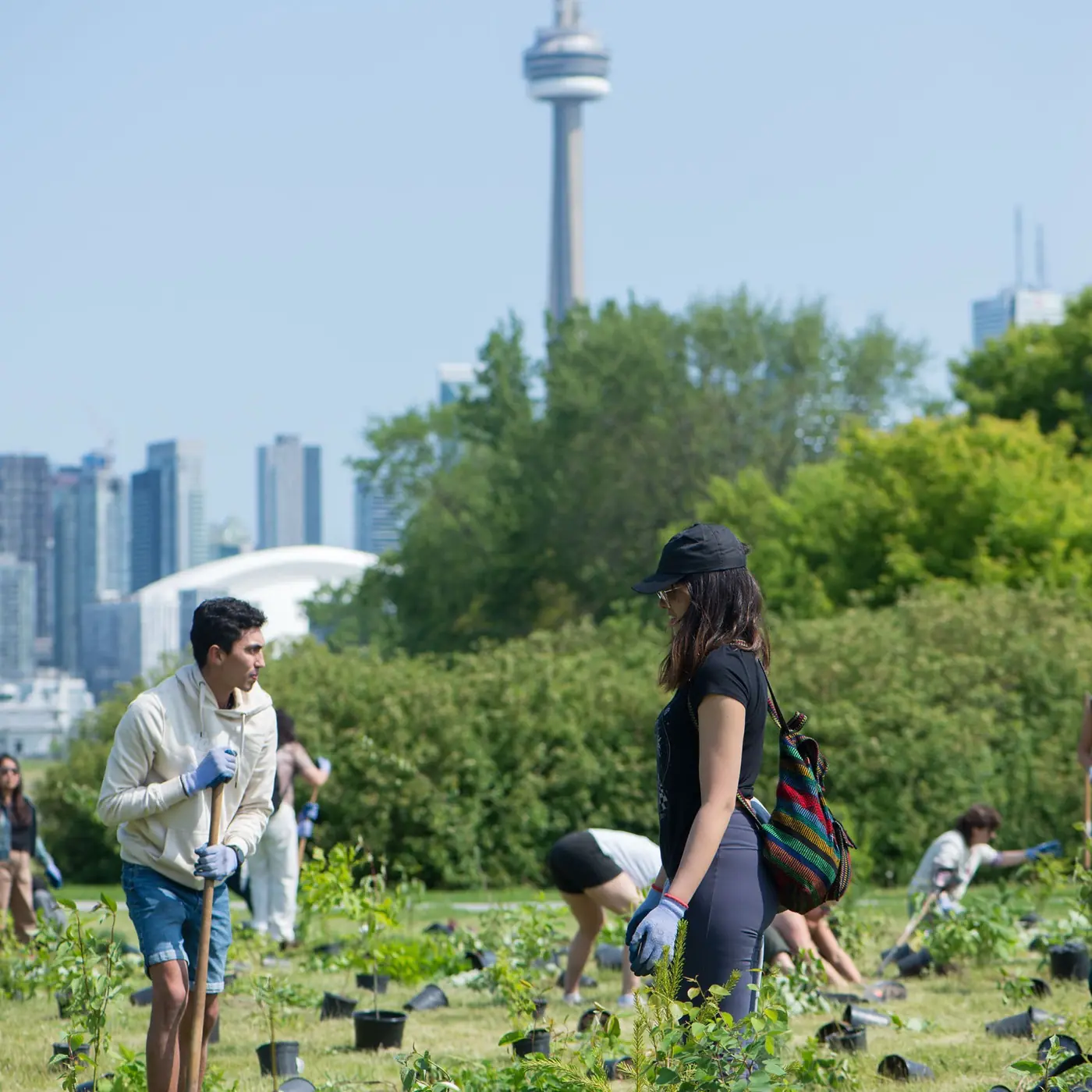 City of Toronto