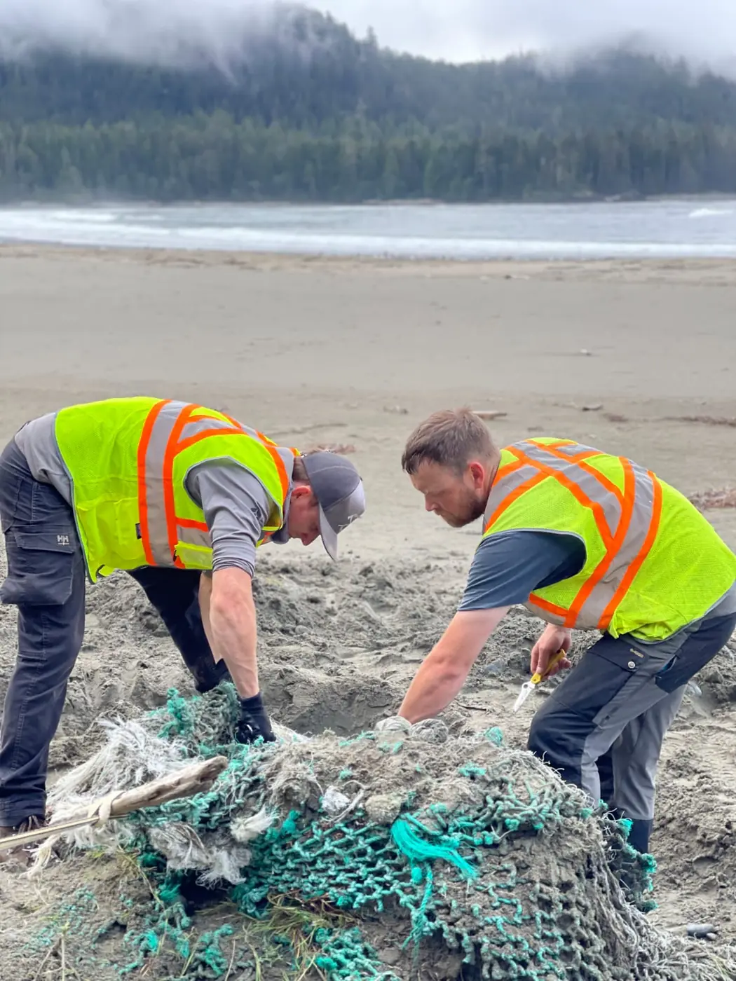 North Coast netting cleanup.